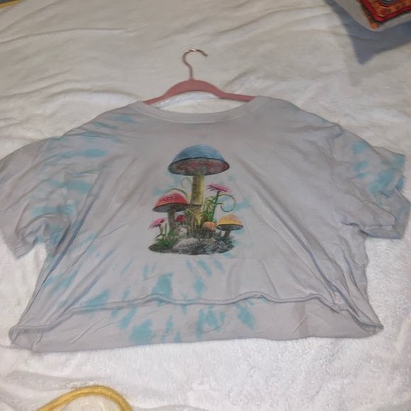 Mushroom crop - Picture 1 of 1